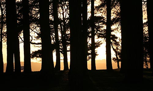 Der Forest of Dean ist einer der Schätze von Gloucestershire.
