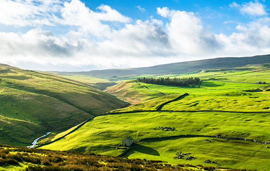 Grüne Wiesen und weite Felder sind das Highlight für Wander-Urlauber in den Yorkshire Dales!