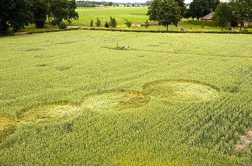 Kornkreise sind sagenumwobene Monumente oder Symbole in englischen Feldern.