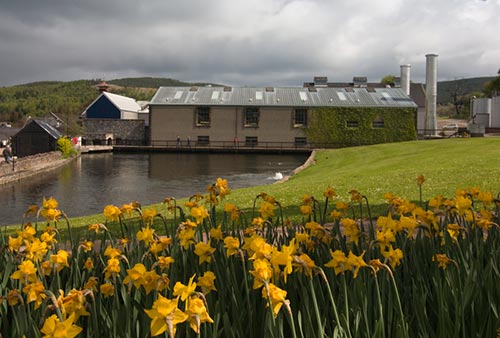 Die Glenfiddich-Destillerie bei Dufftown