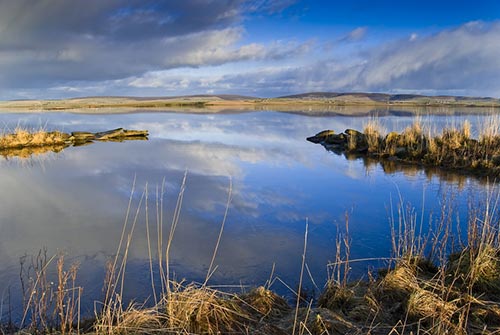 Der Highland Park wird mit dem reinen Wasser der Orkneys hergestellt.