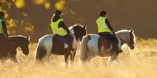 Reiten in Schottland